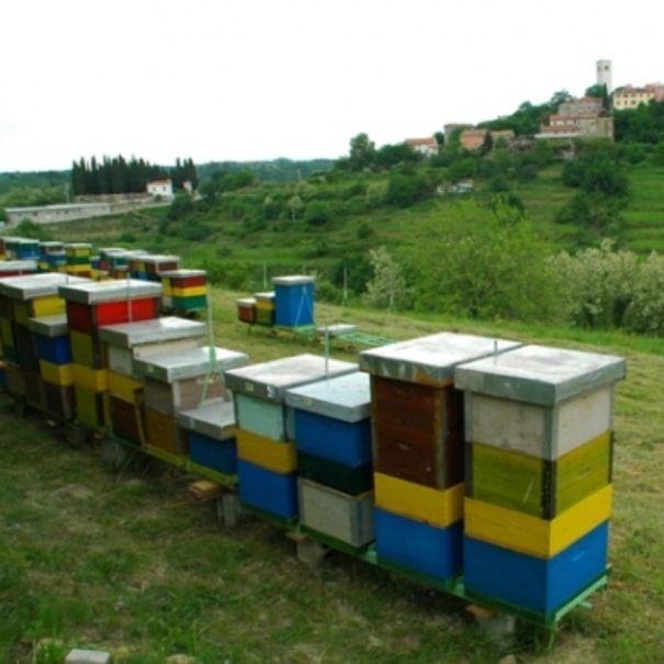Pčelarski Obrt MEDEA
